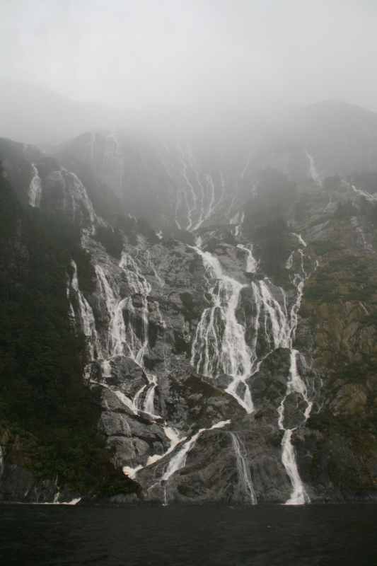 Nieuw-Zeeland 2011 - 1686